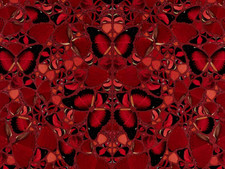 Damien Hirst Theodora Empresses H10-3