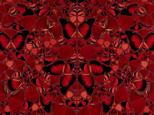 Damien hirst theodora - damien,
