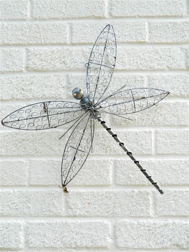 Dragonfly wall art - dragonfly, garden