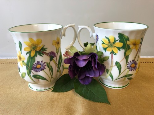 Duchess fine bone china - duchess,