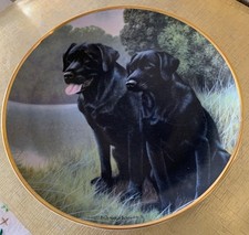 BLACK LABRADOR PLATE SPORTING