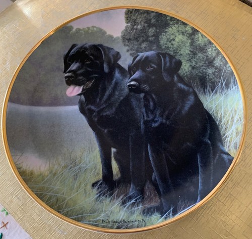 Black labrador plate sporting - black,