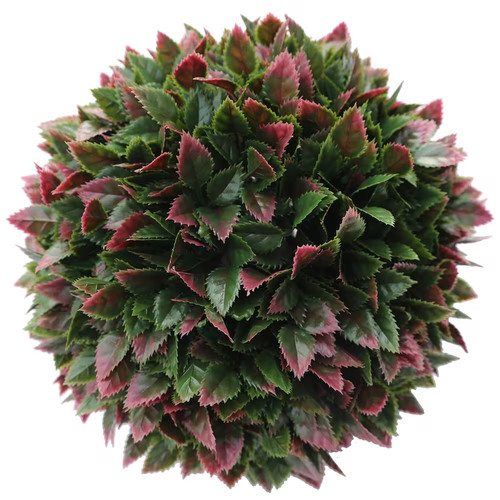 Red rose topiary - topiary, ball