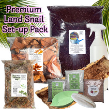 Premium Giant African Land Snail Set-Up Pack  10 items including Leaf Litter
