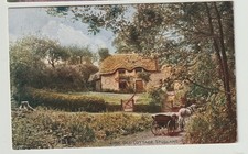 1918 Art Postcard, The Old