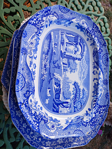 Spode blue white oval - white,