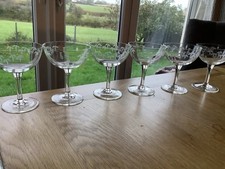 Champagne Glasses Set of 6 Cut & Etched With Bamboo 4.1/4 X 3.1/4 Inch