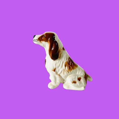 Vintage spaniel dog - vintage,