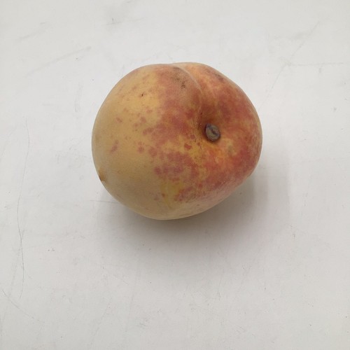 Artificial fruit faux fake - artificial,