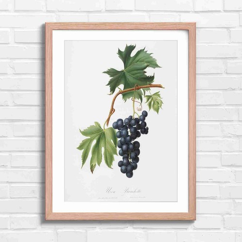 Dark grape cluster - grape,