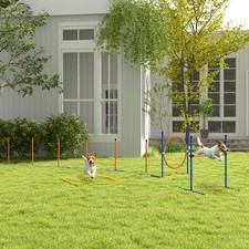 Dog Agility Training Equipment
