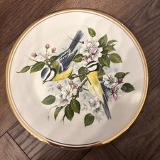 BIRDS OF THE HEDGEROW PLATE R