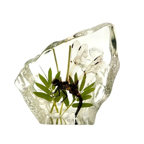 Real dragon fly - real, resin