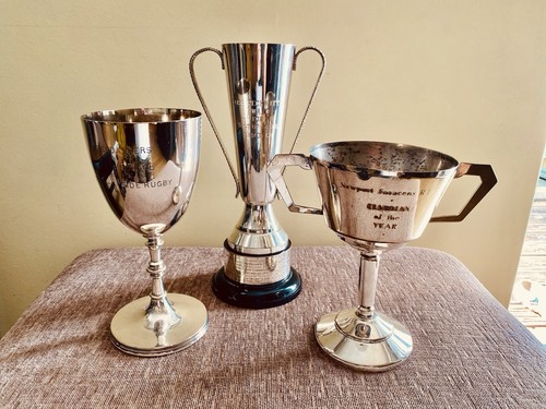 Silver trophy vintage - 🏆, 3x