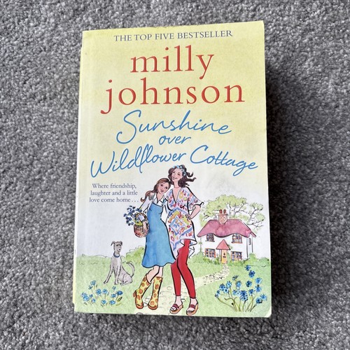 Sunshine over wildflower - sunshine,