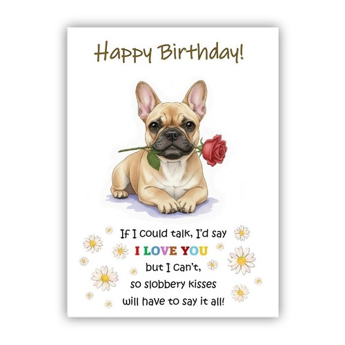 French bulldog birthday card - bulldog,