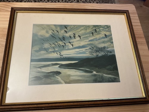 Framed print greylags - of, "greylags