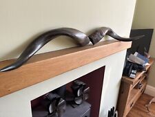 A Pair Of Polished kudu outer