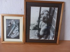 Dog Prints - 2 x Cocker Spaniel framed prints