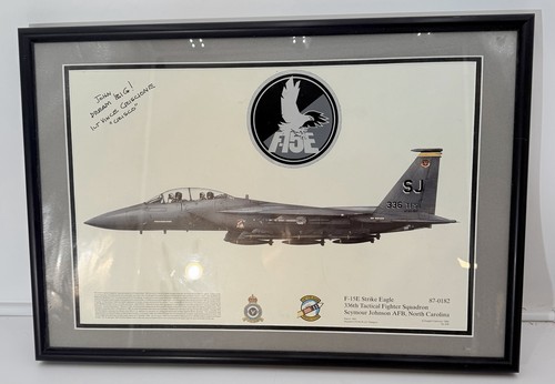 Squadron signed print 336 - squadron, f15e