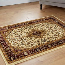 Large traditional living room - traditional,