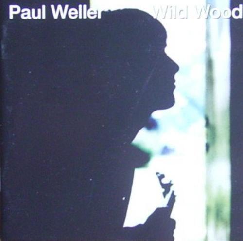 Paul weller wild - wild, (1993)