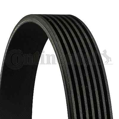 New ribbed belt for - belt,