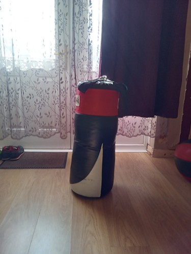 Solid full length punchbag - full,