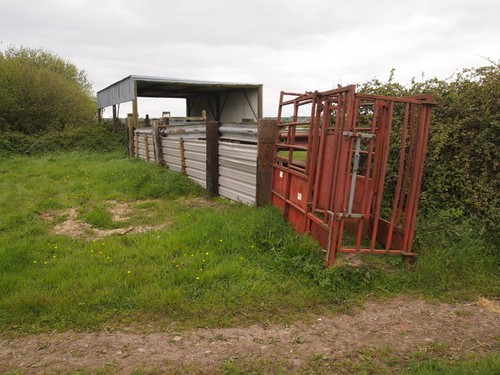 Photo 6x4 agricultural - photo,