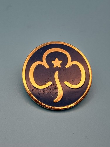 Pin badge enamel - |, girl