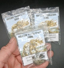 Fossil Triceratops Dinosaur Bone  USA  100%Genuine