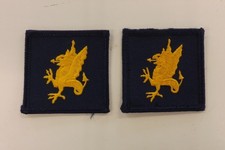 2 MILITARY CLOTH BADGES 43