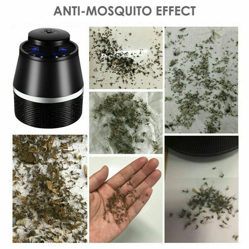 Zummy fly traps - zummy,