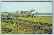 R786109 Turf Cutters in an Irish Bog Smith Omagh