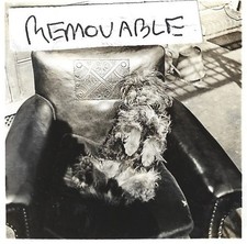 Vintage Old Photo Cute Scruffy