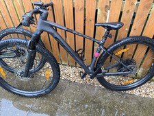 Scott Scale. Carbon Black
