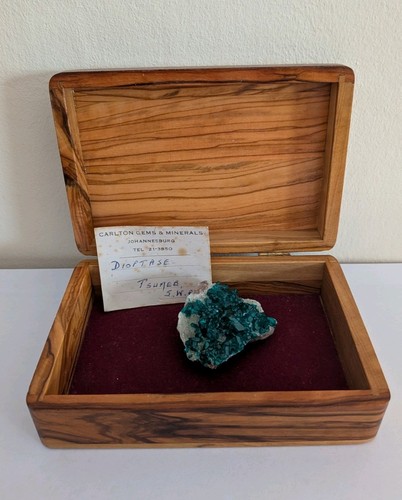 Dioptase crystal cluster - crystal,