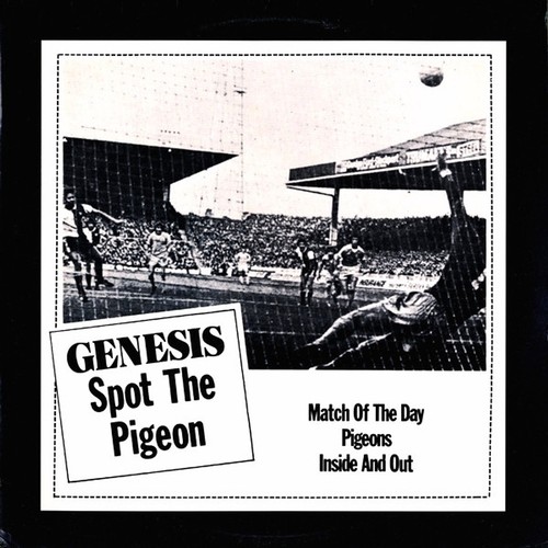 Genesis spot the pigeon - -,