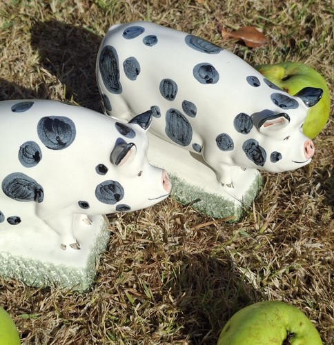 Pair rye pottery pigs - a, of