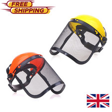 Face Mask Shield & Mesh Safety