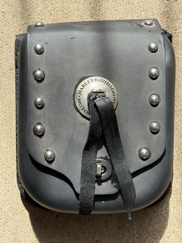 Harley davidson sissy bar - sissy,