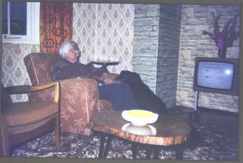 35mm slide transparency colour - 35mm,