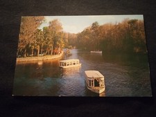 Tree Top View Glass Bottom