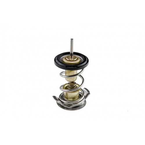 Water thermostat for land - thermostat,