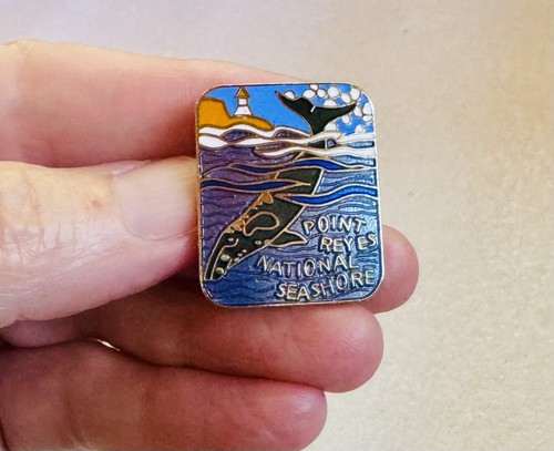 Vintage nps souvenir - nps,