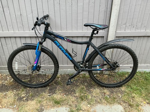 Muddyfox divine 300 mountain - muddyfox,