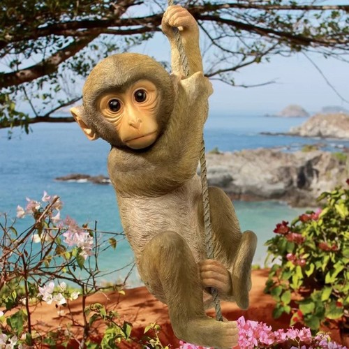 Climbing monkey tree rope - monkey,