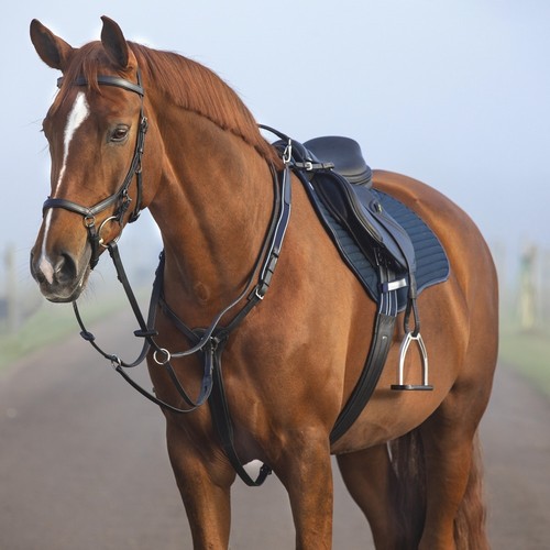 Horseware micklem breastplate - micklem,