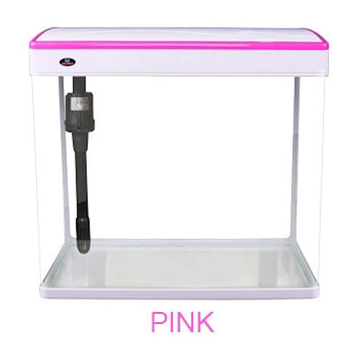 Small aquarium fish tank - small,