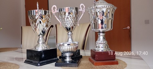 Ornate silver trophy - silver, cup